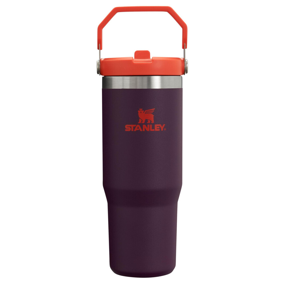 Stanley IceFlow Stainless Steel Tumbler  Vacuum Insulated Water Bottle for Home  Office or Car Reusable Cup with Straw Leak Res