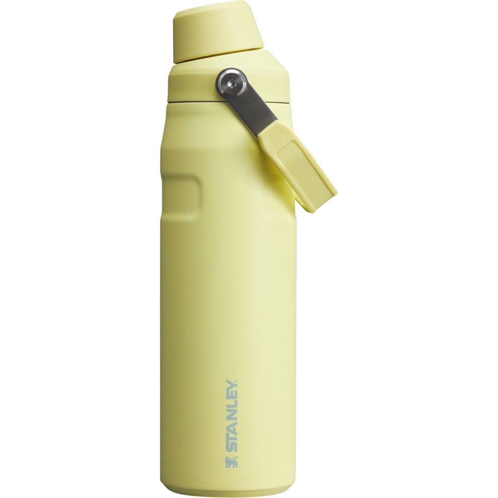 STANLEY Pomelo AeroLight IceFlow Bottle with Fast Flow Lid Pomelo  24 oz