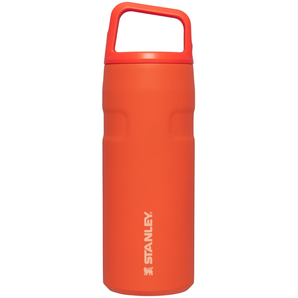 Stanley IceFlow Cap and Carry Water Bottle 16 OZ  Wide Mouth Twist Lid  Lightweight  Leakproof for Travel  Gym  Insulated