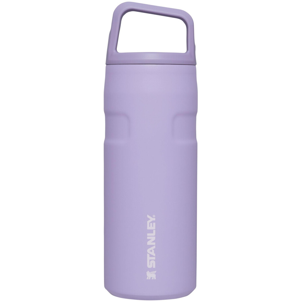 Stanley IceFlow Cap and Carry Water Bottle 16 OZ  Wide Mouth Twist Lid  Lightweight  Leakproof for Travel  Gym  Insulated