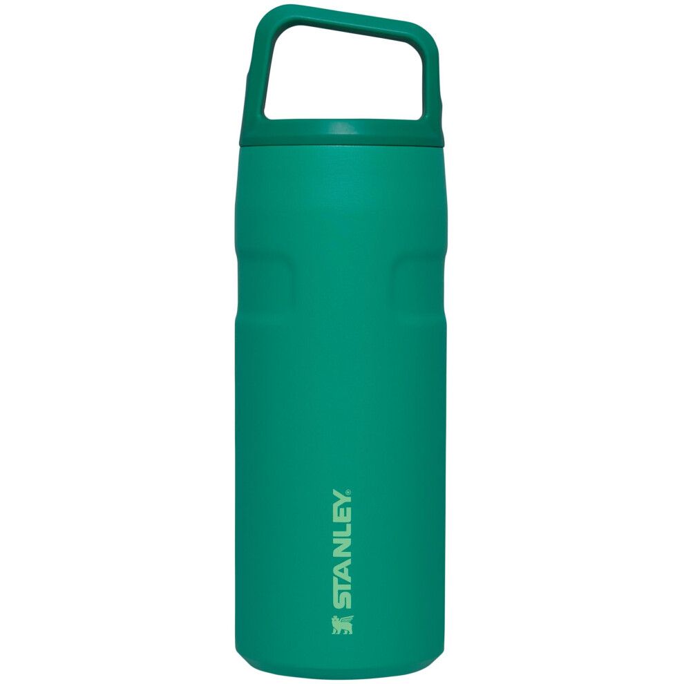 Stanley IceFlow Cap and Carry Water Bottle 16 OZ  Wide Mouth Twist Lid  Lightweight  Leakproof for Travel  Gym  Insulated