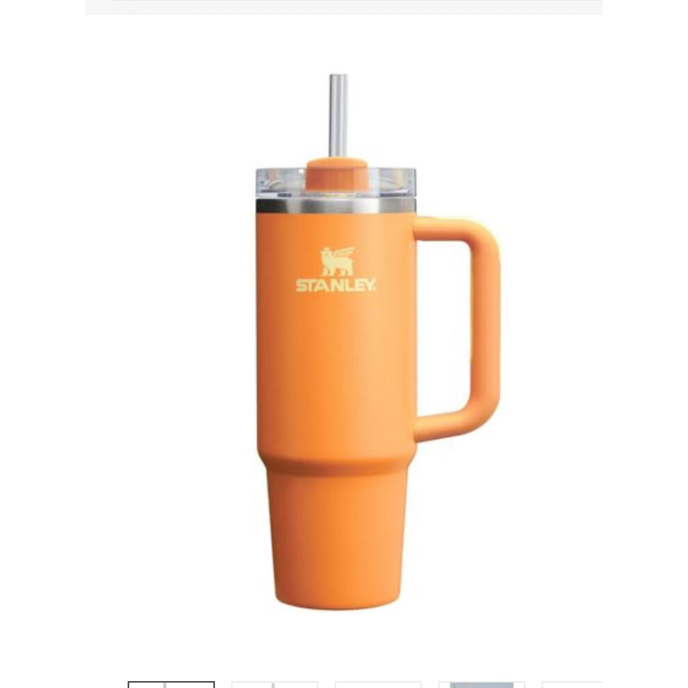 STANLEY Quencher H20 FlowState Stainless Steel Vacuum Insulated Tumbler with Lid and Straw for Water  Iced Tea or Coffee Marig