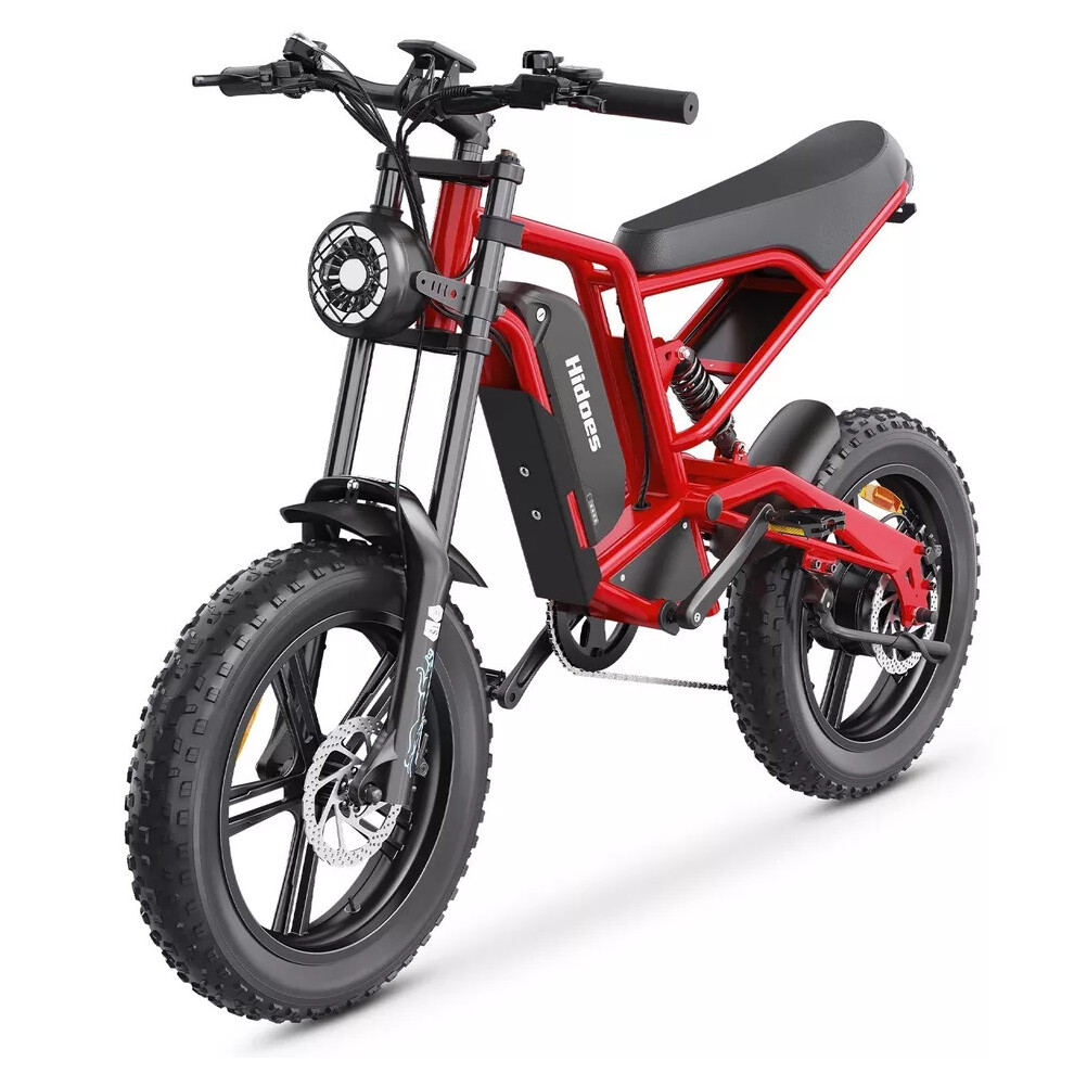 Hidoes B6 20" Mountain Electric Bike 1200W 48V 15.6Ah Battery E-Bike