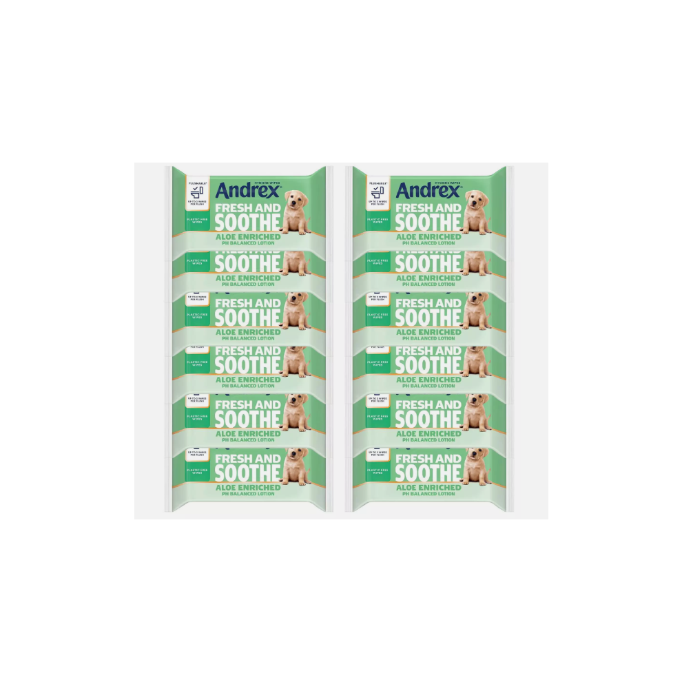 Andrex Hygiene Wipes Fresh & Soothe Aloe Enriched 12 Pack