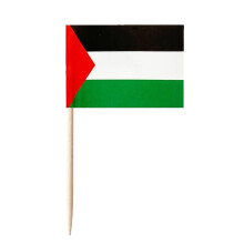 100Pcs Palestine Toothpick Flag Fruit Pick Cupcake Topper Party Buffet Cheese Marker Food Label