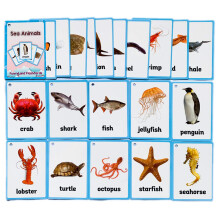 20 STK/S?T Havdyr B?rnegaver Engelske Flash-kort Lommekort P?dagogisk l?ring Babyleget?j til b?rn f?r b?rnehave