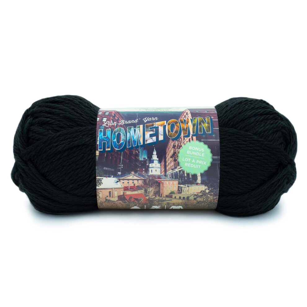 Lion Brand Yarn Hometown Bonus Bundle Yarn  Oakland Black  1 Skein