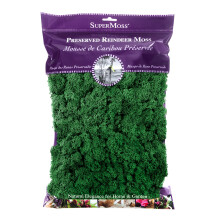 SuperMoss (21757) Reindeer Moss Preserved, Forest, 8oz (200 cubic inch)