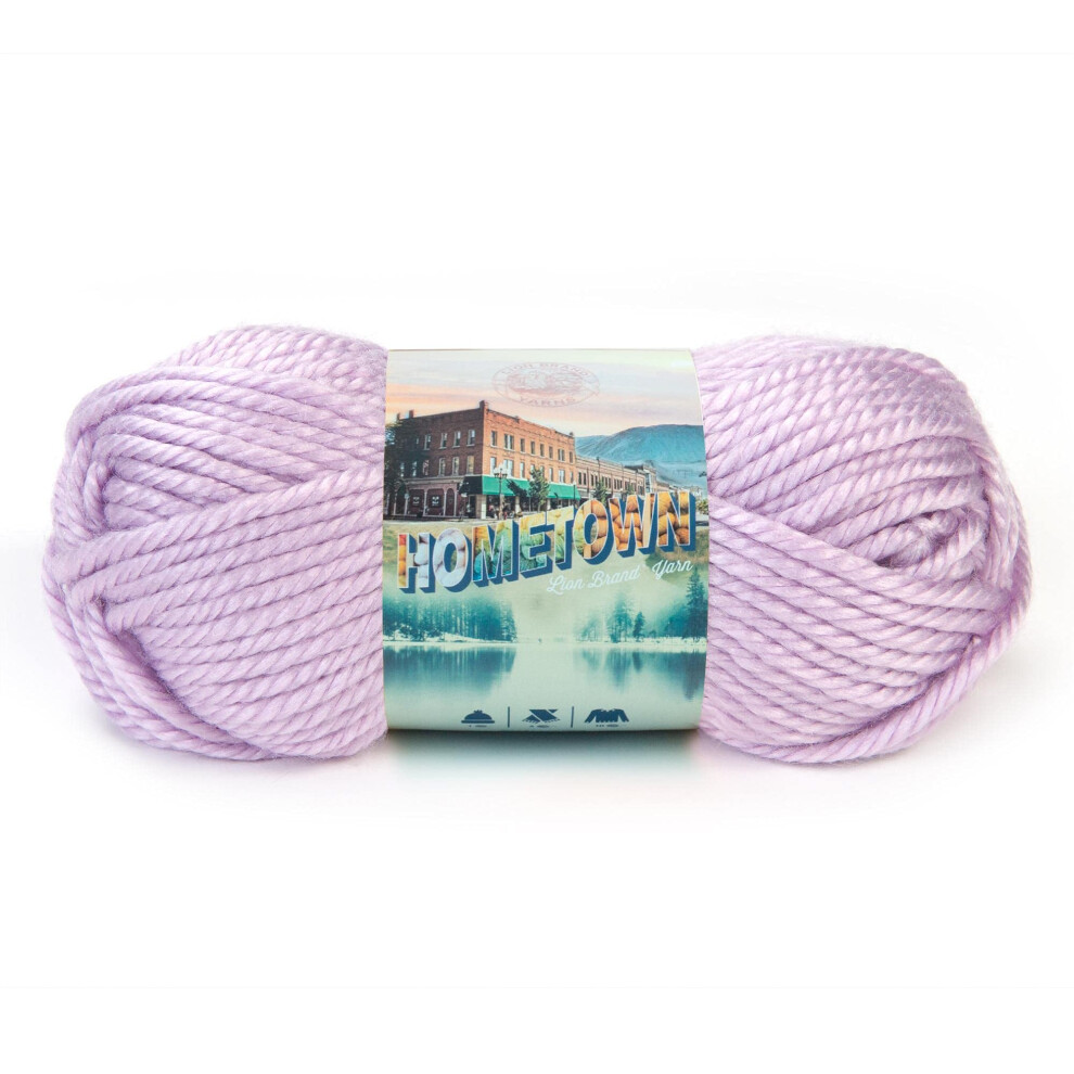 Lion Brand Yarn Hometown Yarn  Bulky Yarn  Yarn for Knitting and Crocheting  1Pack  Joliet Iris