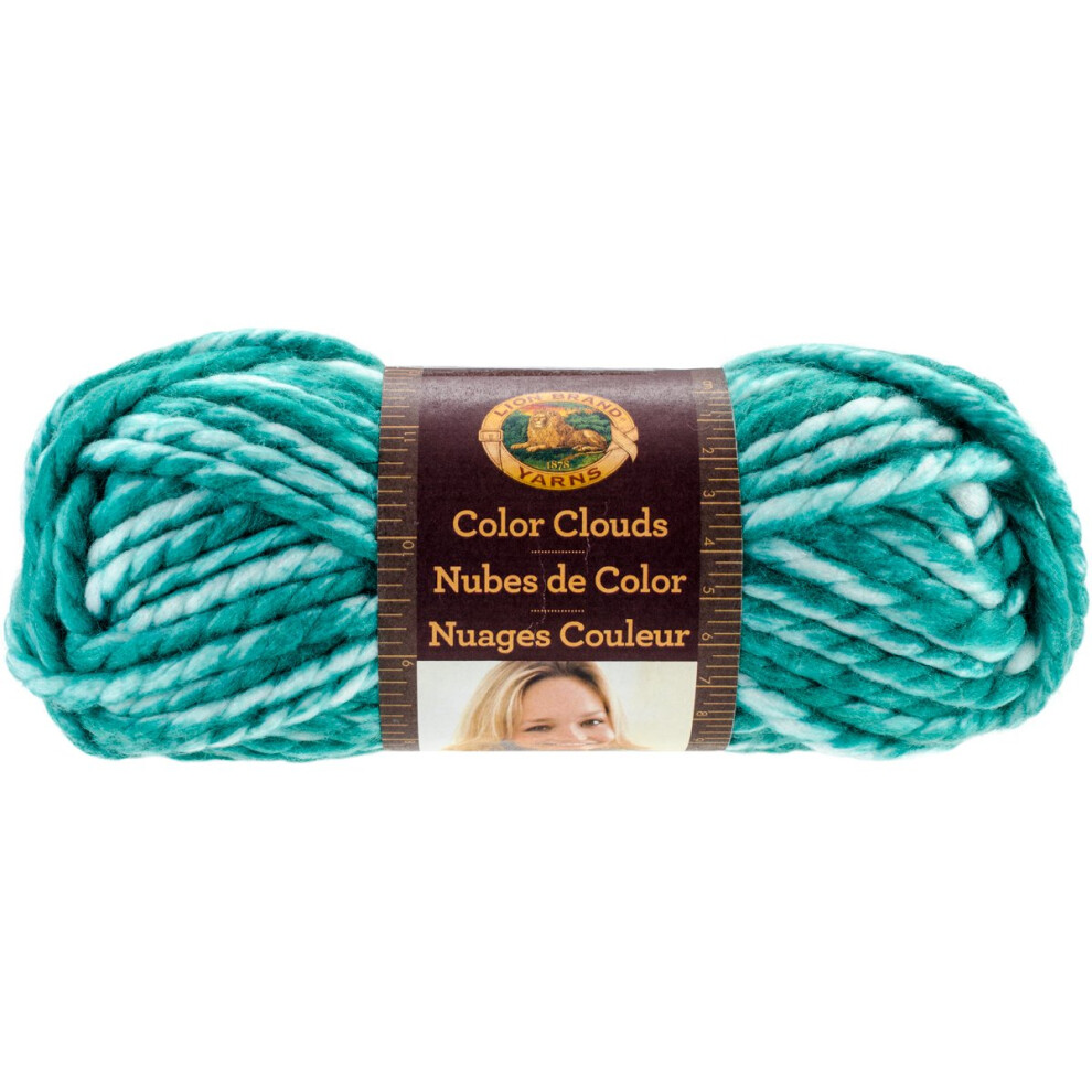 Lion Brand Yarn 546178 Color Clouds Yarn  Fortune Tellers Teal