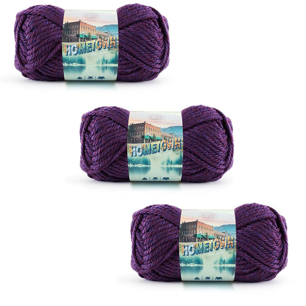 Lion Brand Yarn Hometown Yarn  Bulky Yarn  Yarn for Knitting and Crocheting  3Pack  Portland Wine