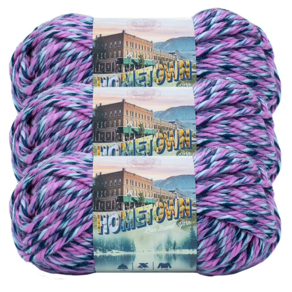 Lion Brand Yarn Hometown Yarn  Bulky Yarn  Yarn for Knitting and Crocheting  3Pack  Jacksonville Taffy