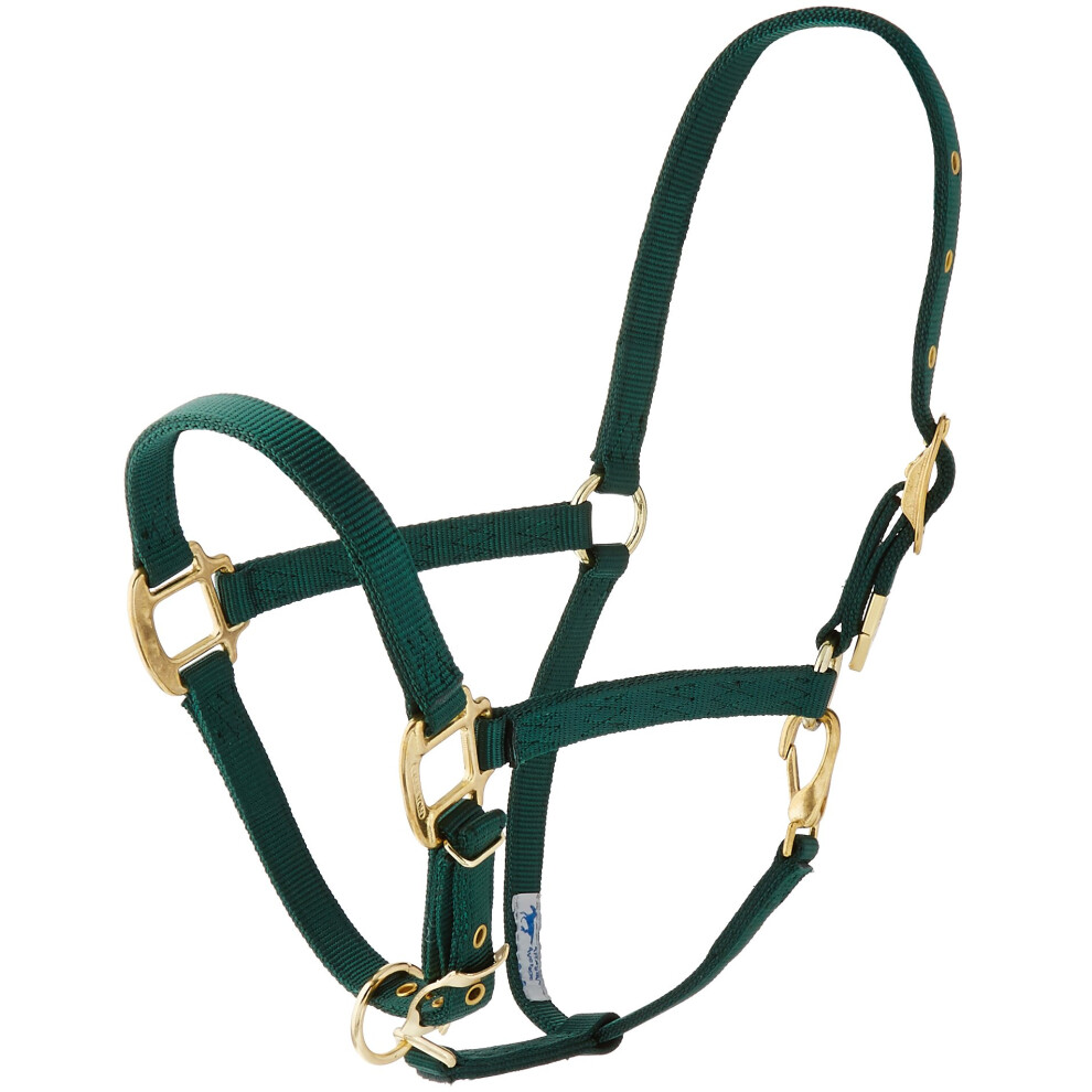 Hamilton 34Inch Nylon Arabian Horse Halter with Adjustable Chin and Throat Snap  Average  800 to 1100 pounds  Dark Green