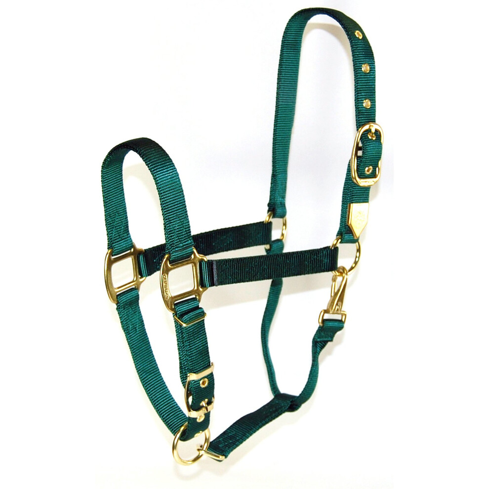 Hamilton 1Inch Nylon Halter with Adjustable Chin  Dark Green  Average Size