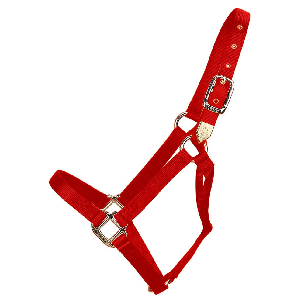 Hamilton 1Inch Nylon Horse Halter  800 to 1100Pound  Red