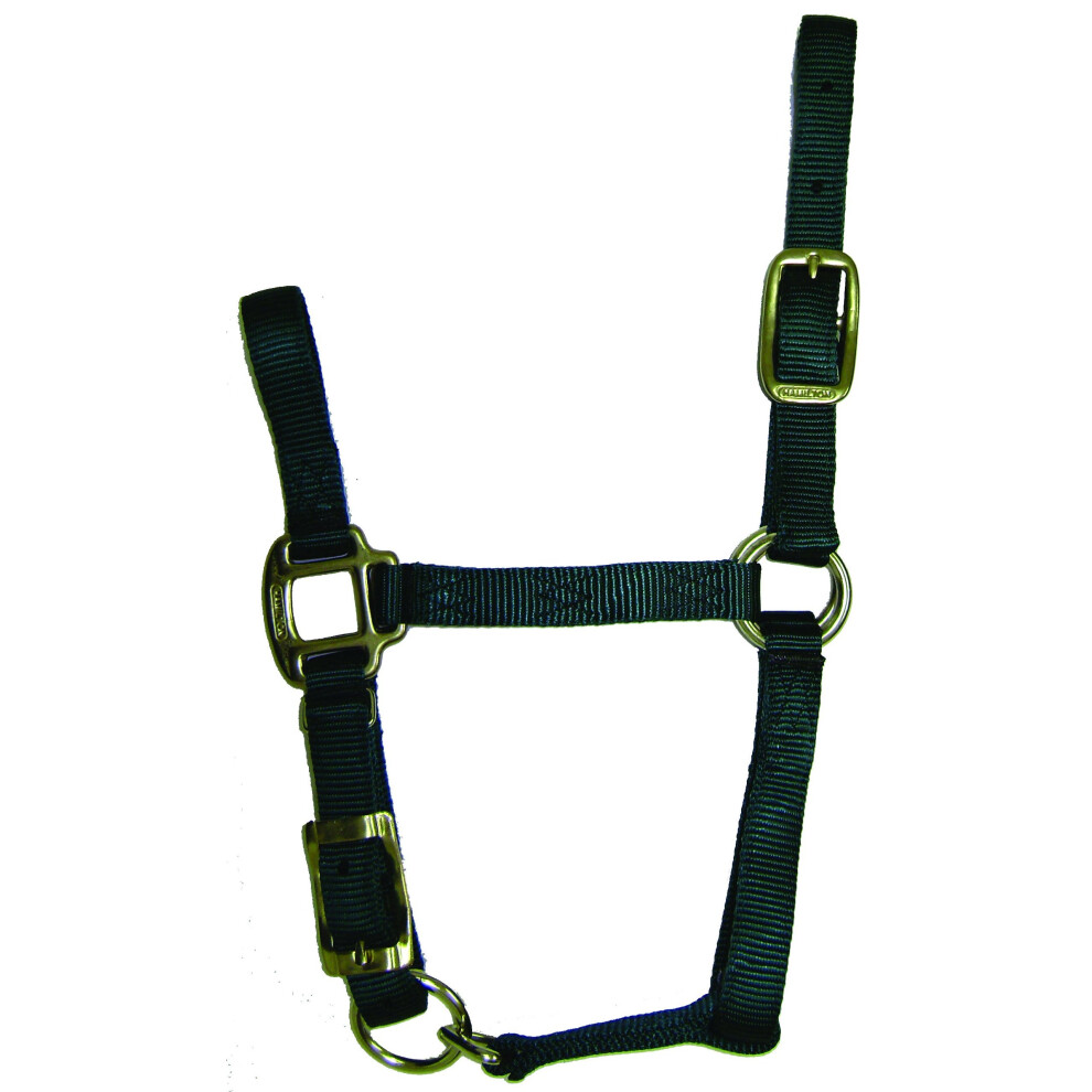 Hamilton 34 Adjustable Quality Horse Halter  Pony  Dark Green