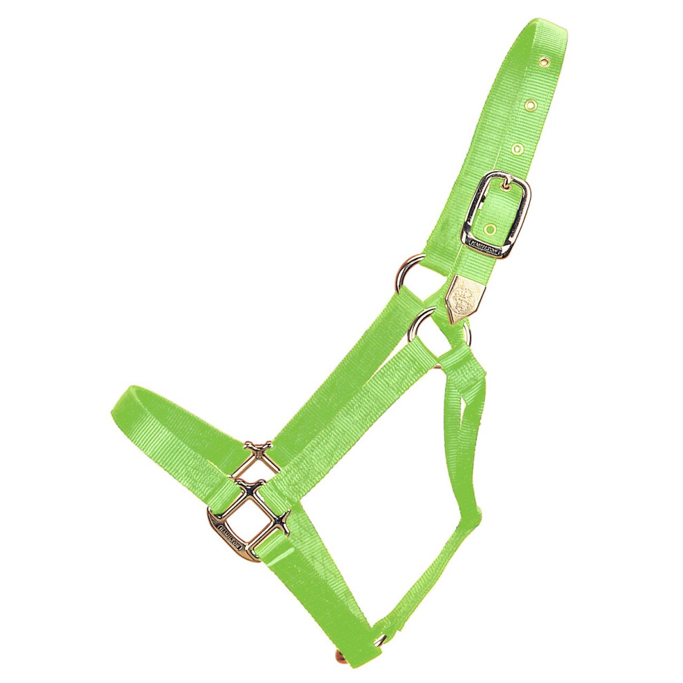 Hamilton 1Inch Nylon Horse Halter  8001100Pound  Lime Green