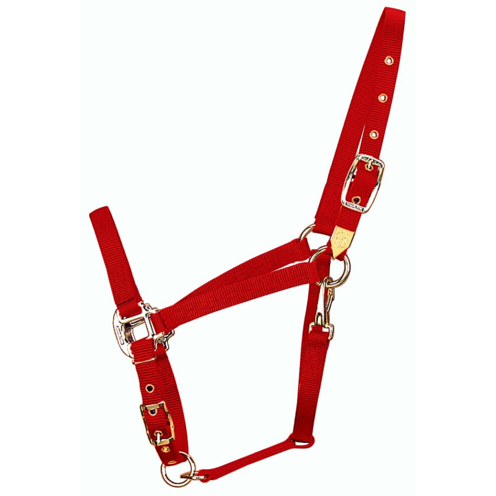 Hamilton 34Inch Nylon Arabian Horse Halter with Adjustable Chin and Throat Snap  Average  800 to 1100 pounds  Red