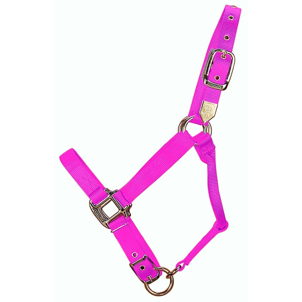 Hamilton 1Inch Nylon Adjustable Horse Halter  YearlingStandard Donkey Size  Hot Pink