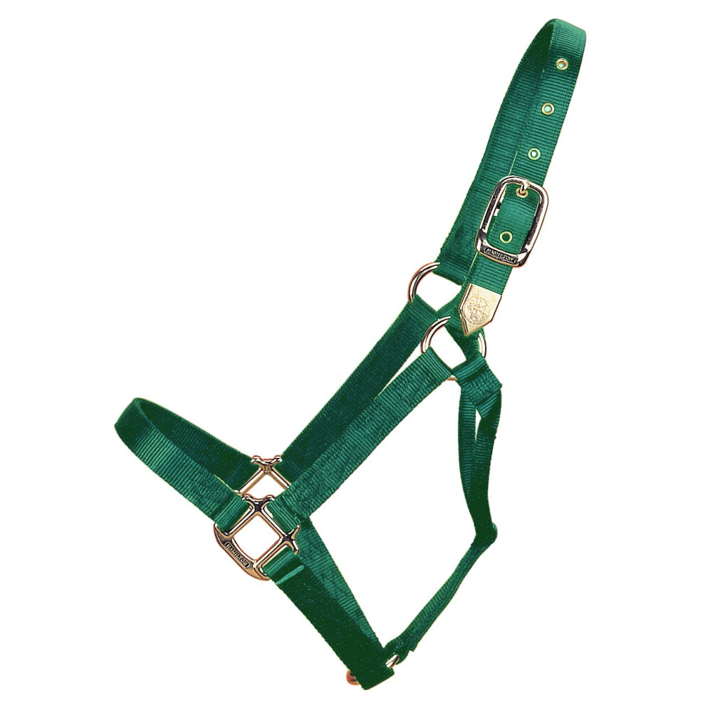 Hamilton 1Inch Nylon Horse Halter YearlingStandard Donkey Size 300500 Pounds  Dark Green