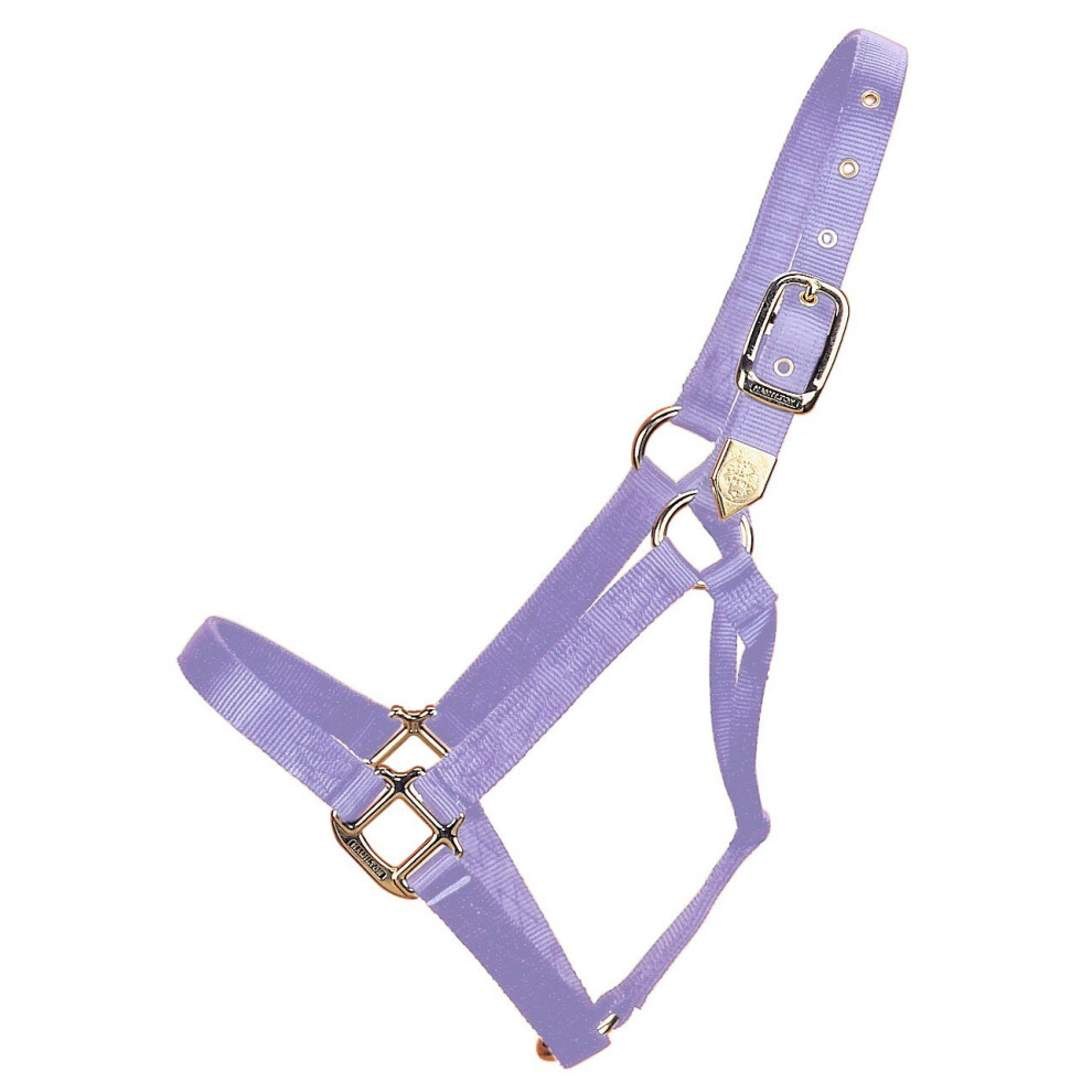 Hamilton 1Inch Nylon Horse Halter  Average Size