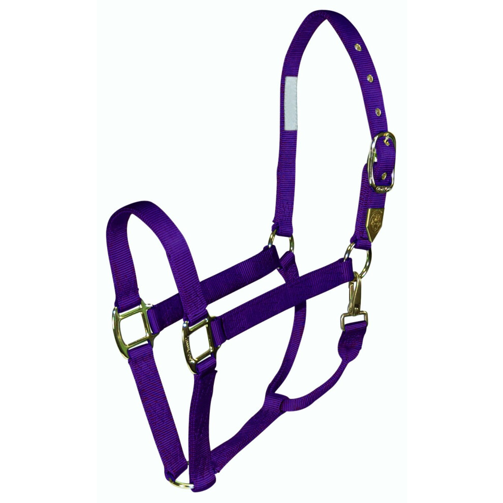 Hamilton Deluxe 1Inch Nylon Horse Halter with Snap  Purple  Average