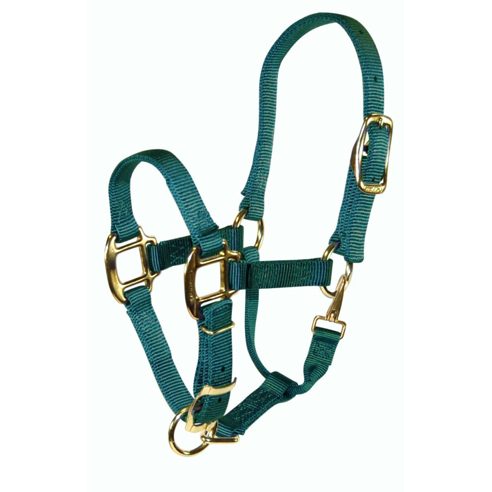 Hamilton Adjustable Quality 34Inch Weanling Halter with Snap  200 to 300Pound Horse  Dark Green