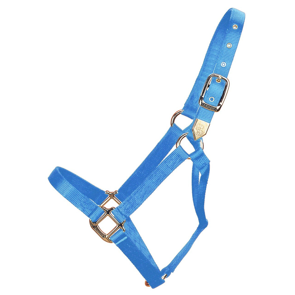 Hamilton 1Inch Nylon Horse Halter  8001100Pound  Berry Blue