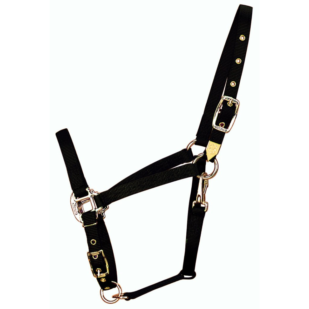 Hamilton 34Inch Nylon Arabian Horse Halter with Adjustable Chin and Throat Snap  Average  800 to 1100 pounds  Black