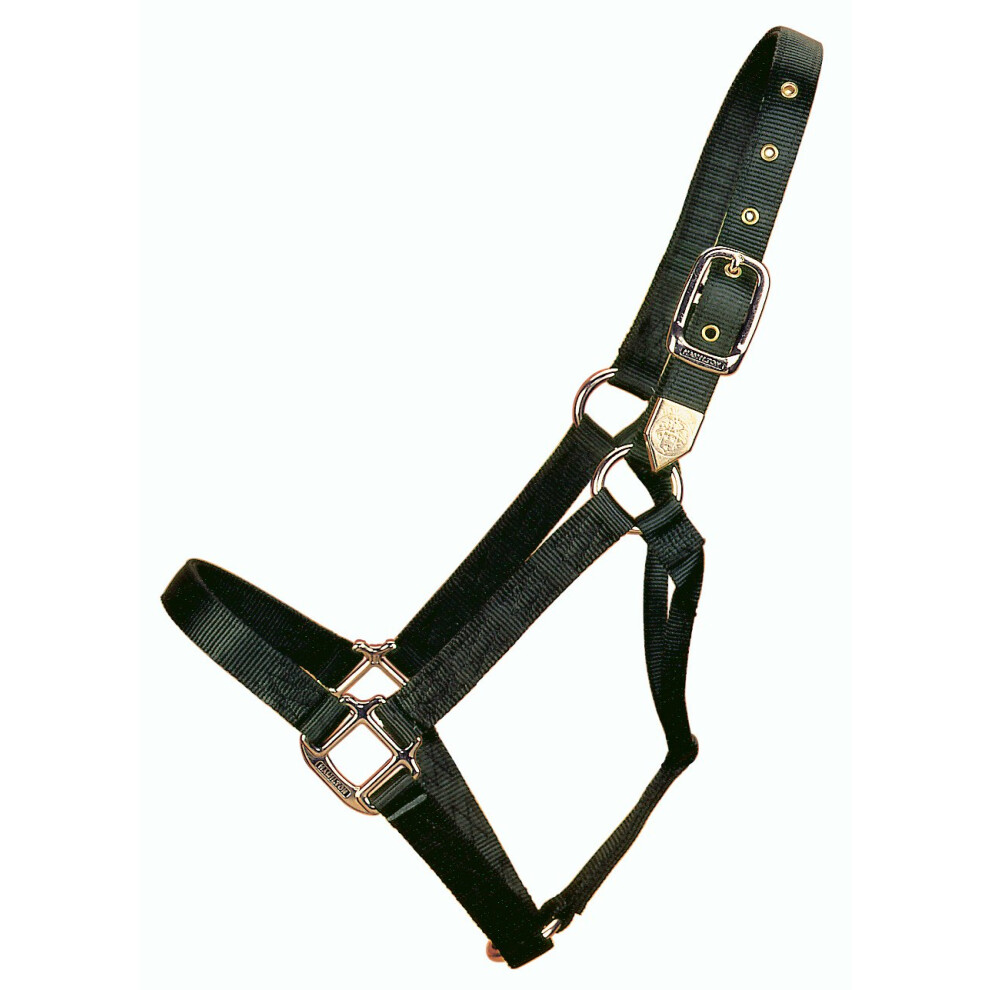 Hamilton 1Inch Nylon Horse Halter  800 to 1100Pound  Black