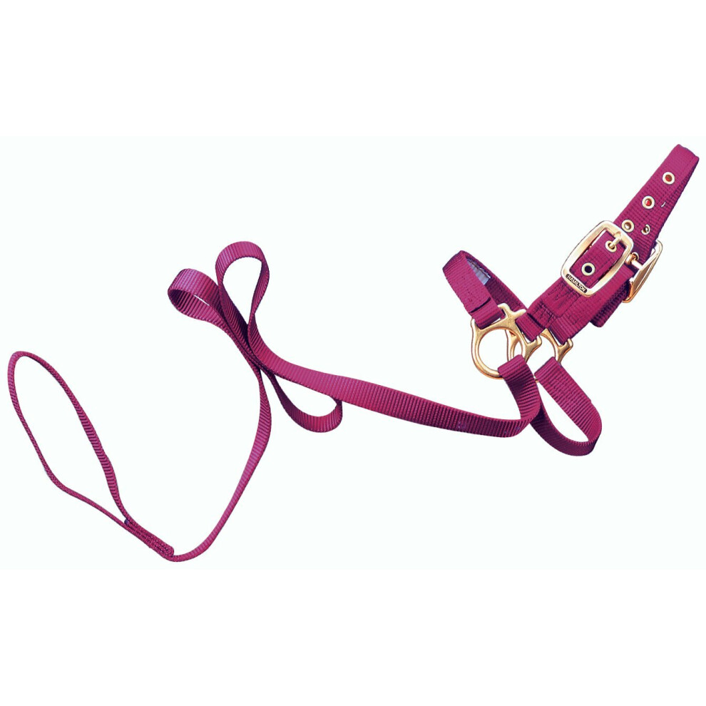 Hamilton 34 Sheep Show Halter with 5 ft Lead  Wine