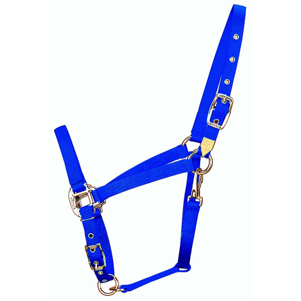 Hamilton 34Inch Nylon Arabian Horse Halter with Adjustable Chin and Throat Snap  Average  800 to 1100 pounds  blue