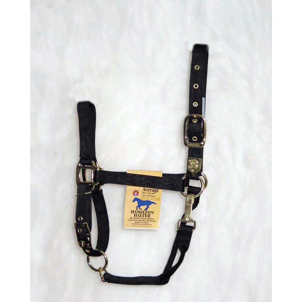 Hamilton 1Inch Nylon Halter with Adjustable Chin  Black  Average Size