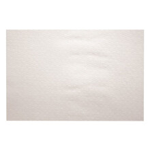 Burmax Dl Pro Protective Nail Towels With Plastic Backing, 50 Count