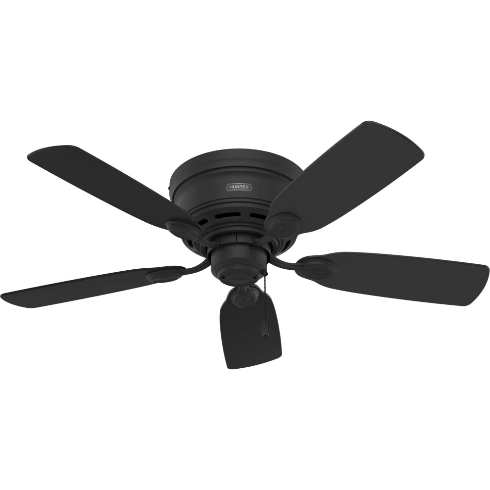 Hunter Fan Company 52392 Low Profile Ceiling Fan  Matte Black