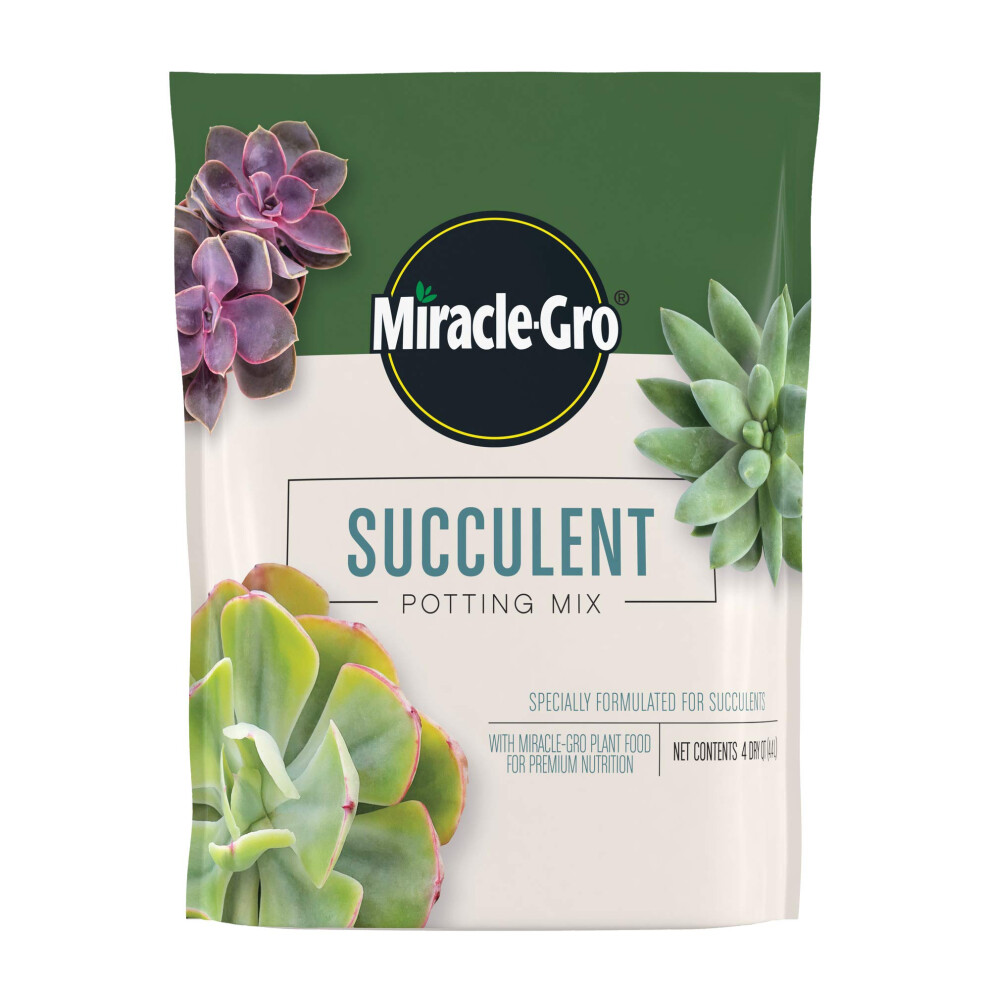 MiracleGro Succulent Potting Mix Fertilized Soil with Premium Nutrition for Indoor Cactus Plants  Aloe Vera and More  4 qt