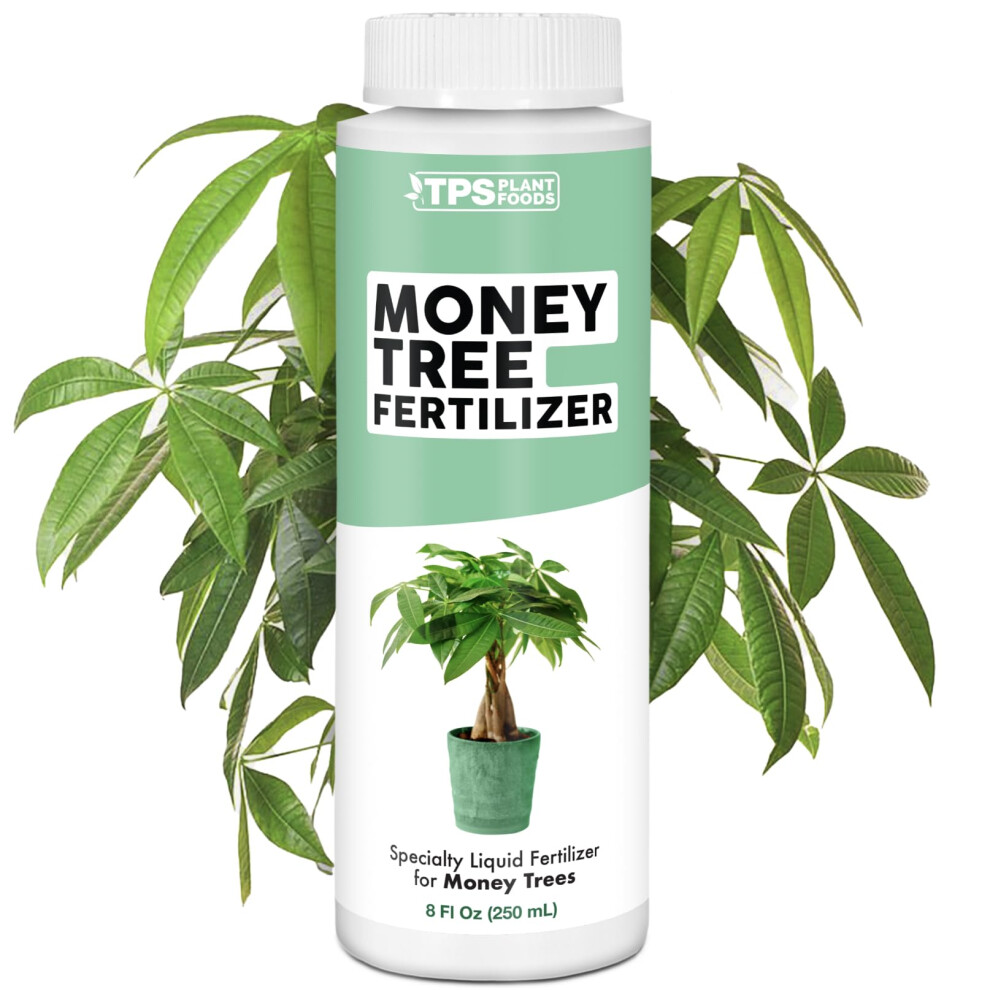 Money Tree Fertilizer for Money Trees and All Pachira Plants  Liquid Plant Food 8 oz 250mL