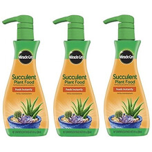 Miracle-Gro Abono para Suculentas, 8 OZ (Paquete de 3)