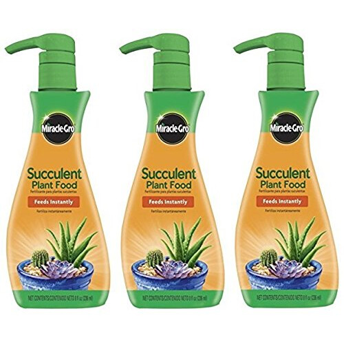 Miracle-Gro Miracle-Gro Abono para Suculentas, 8 OZ (Paquete de 3)
