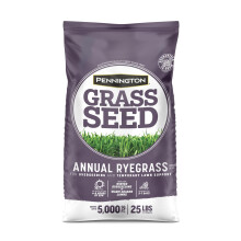 Pennington Annual Ryegrass Retail Bag to Overseed Warm Season Grasses, 25 lb