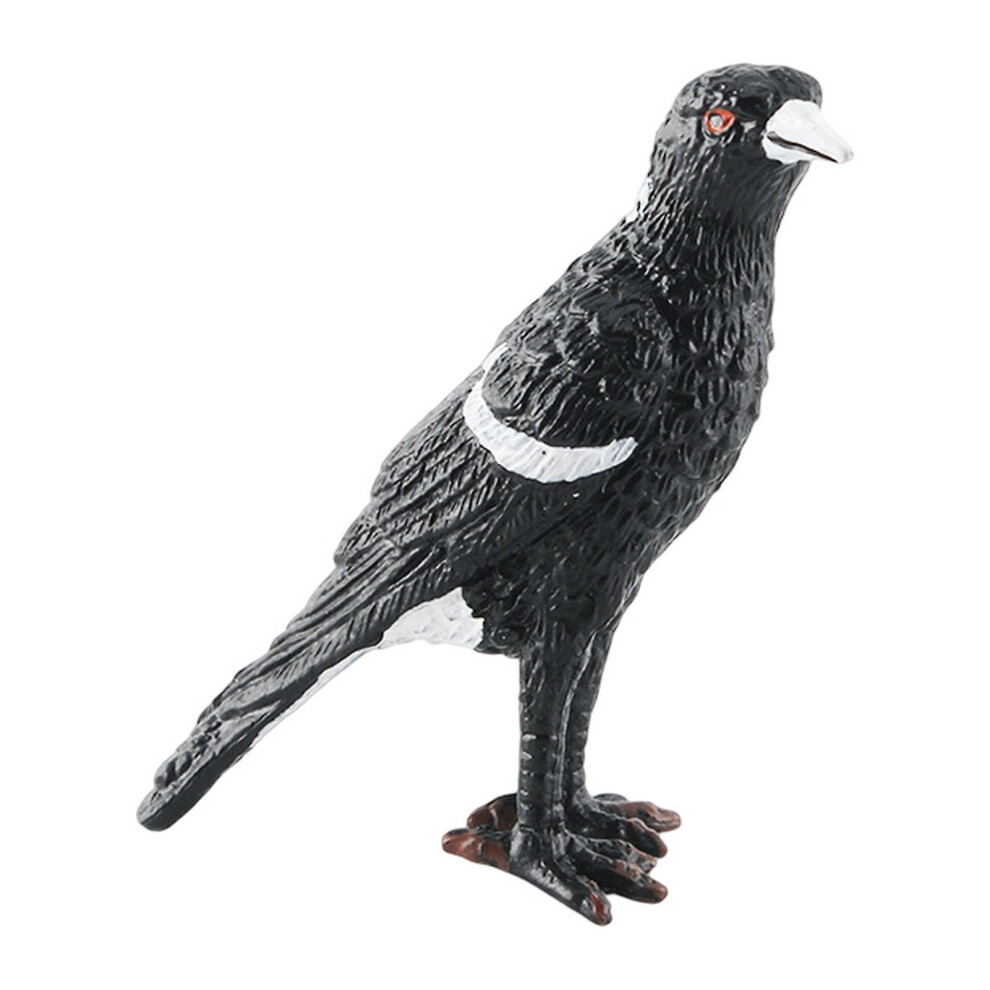 (B) Feather Animal Model Simulated Magpie Pigeon Cuckoo Blue Wren Rusty-breasted Tit Solid Model Ornament Pvc Bird Statue Figurine Desktop  Model Gift-image-OPC-PFRT9DN-NEW