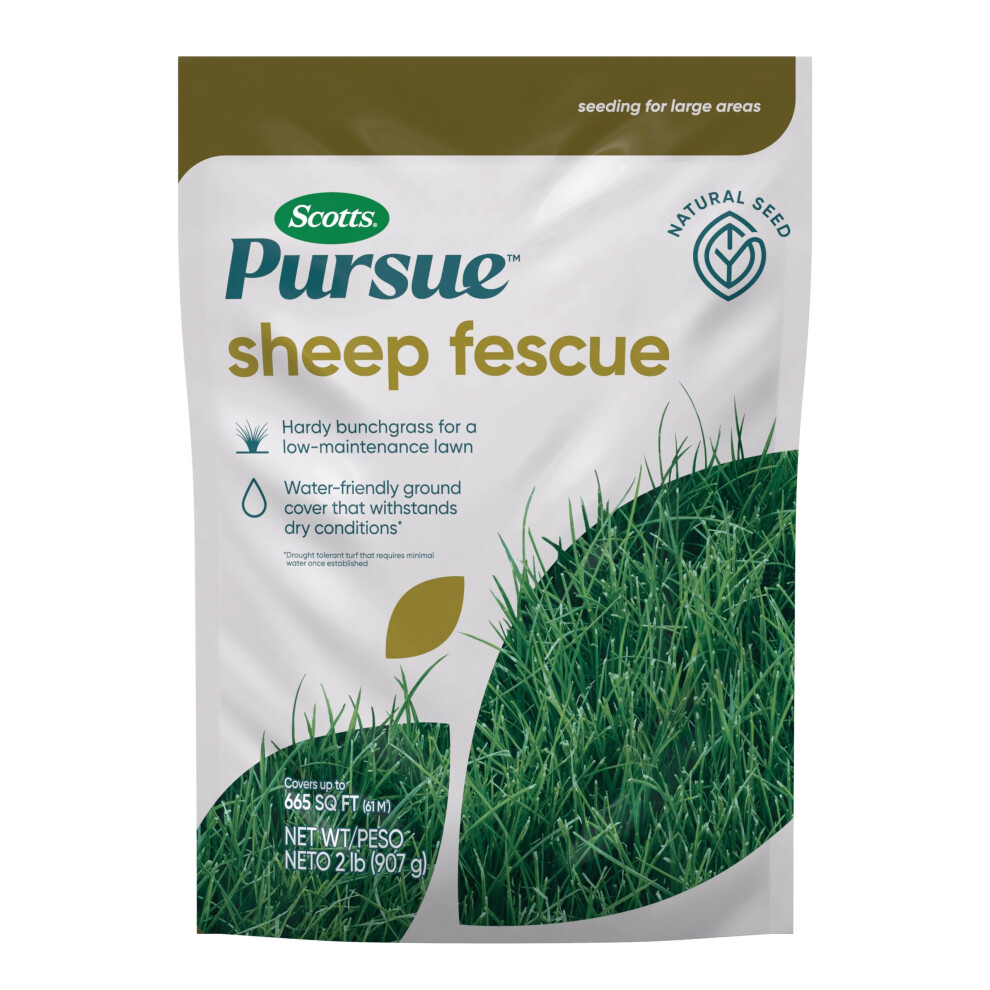 Scotts Pursue Sheep Fescue with Natural Seed  Seeding for Large Areas  2 lbs