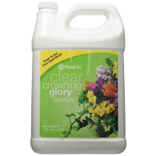 Smithers Oasis Floralife Clear Crowning Glory-1 Gallone Garten, Weiß