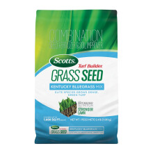 Scotts Turf Builder Semi di Erba Miscelazione Bluegrass del Kentucky con Fertilizzante, 2.4lbs.