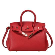 (Red) 2024 NEW Women's handbag diagonal handheld handbag hundred temperament bag GIFT!