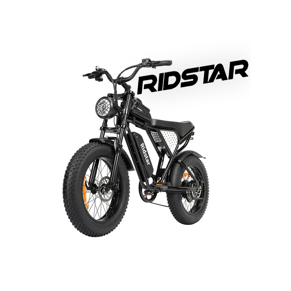 RIDSTAR Q20 Mini Electric Bike 20" Tires 1000W 48V 15Ah Battery