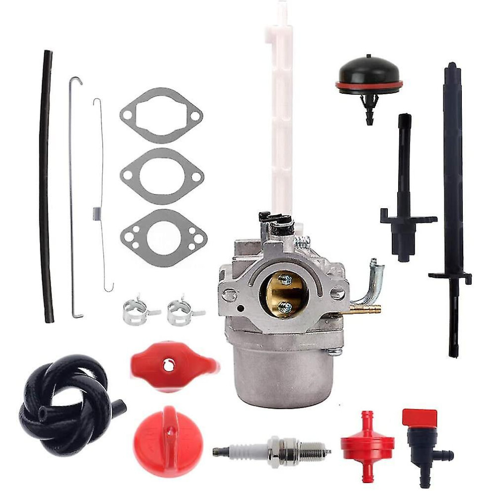 796122 Carburetor For Briggs 7364070263639