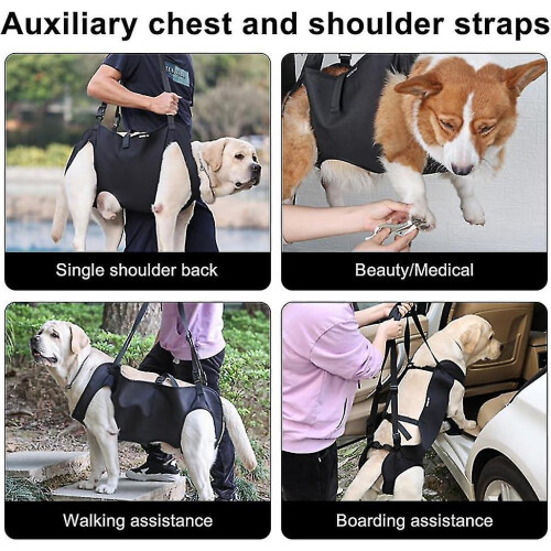 Adjustable lifting harness for dogs, mobility aid for ageing and disabled animals with weak legs 1