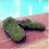 Gff Grass Flip Flop Uk Story 2