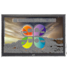 Digital Picture Frame, 12 Inch Digital With Wireless Remote Control, Support Sd Card/usb Eu Plug